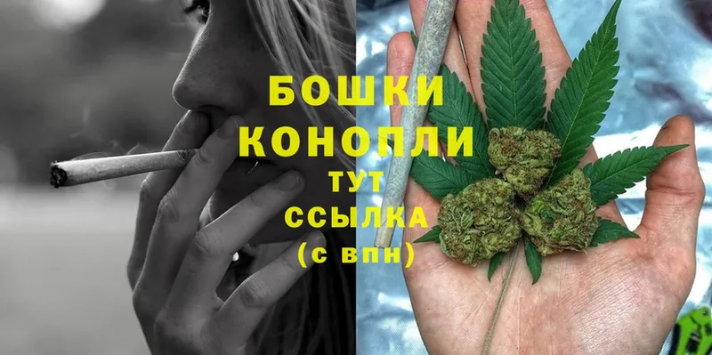 Каннабис OG Kush  Бокситогорск 